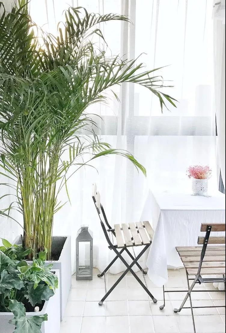 1633917372108861.jpg 微信圖片_20211011095213.jpg